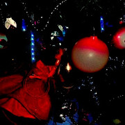 DSC06785