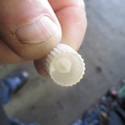 IMG-8653