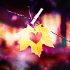 graffitigraphic-stock819