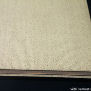IMG-3103