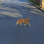 IMG-0967