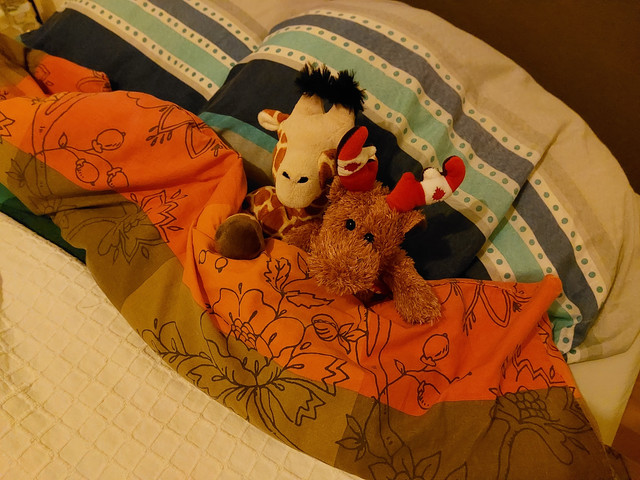 nap