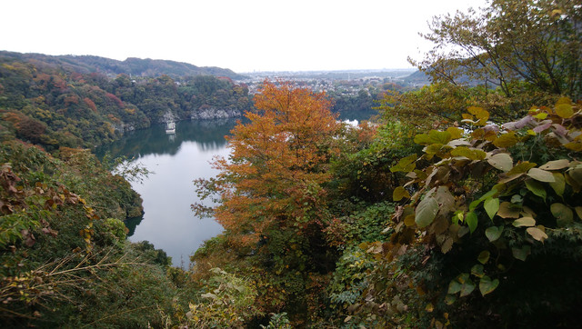 IMG-20221110-125447