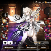 IMG-3176