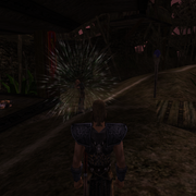 Walkthrough 54