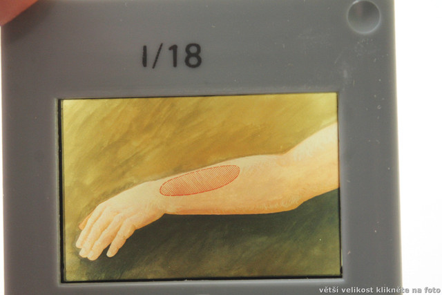 IMG-1206.jpg