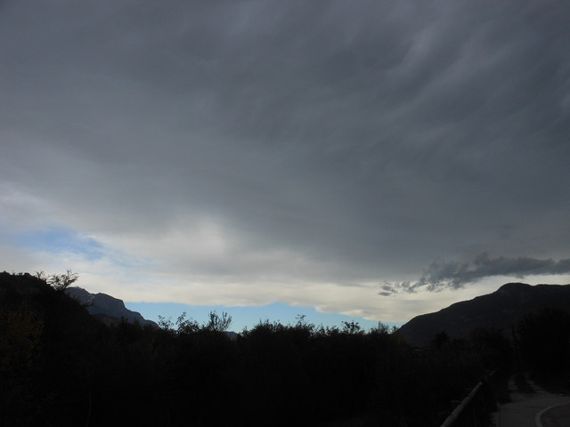 DSCN8351