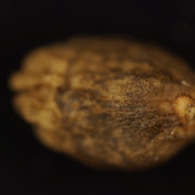 DSC01650