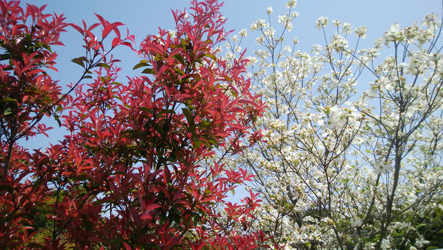 DSC-0034