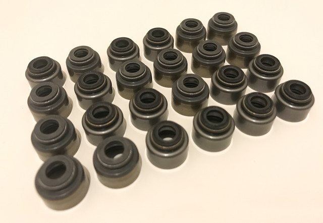 Ferrea Stem Seals