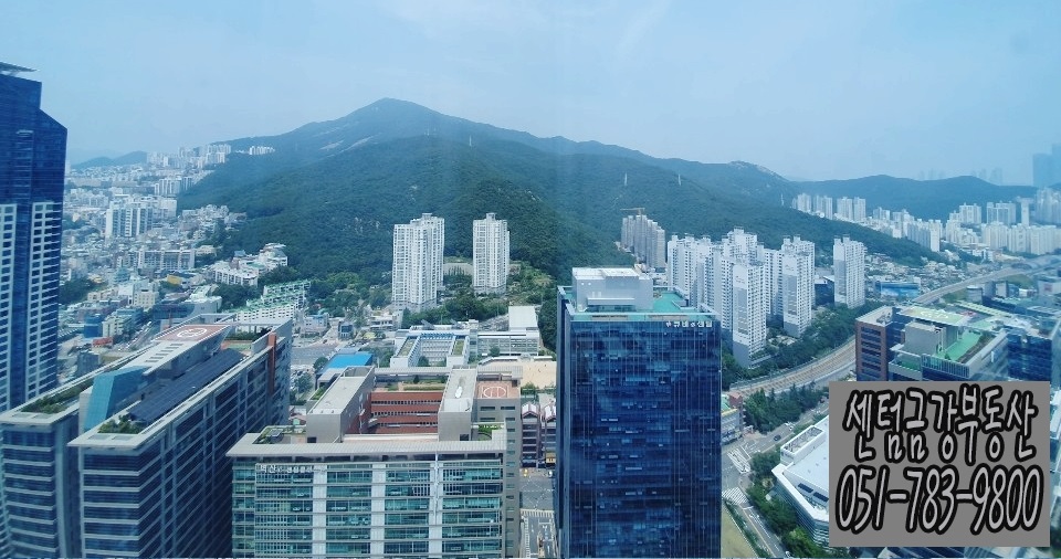 naver1.jpg