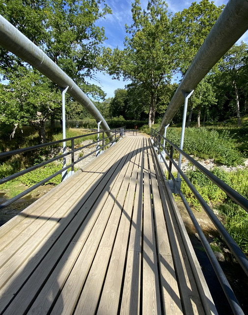 IMG-1442.jpg