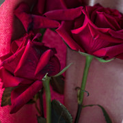 DSCF3899