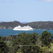 P1198455