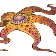 Astroidean