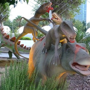 Velociraptors