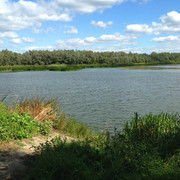 IMG-4115