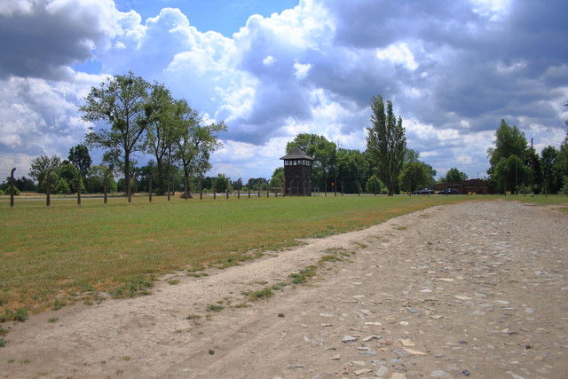 IMG-5886.jpg