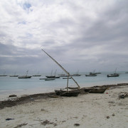 DSCN4793