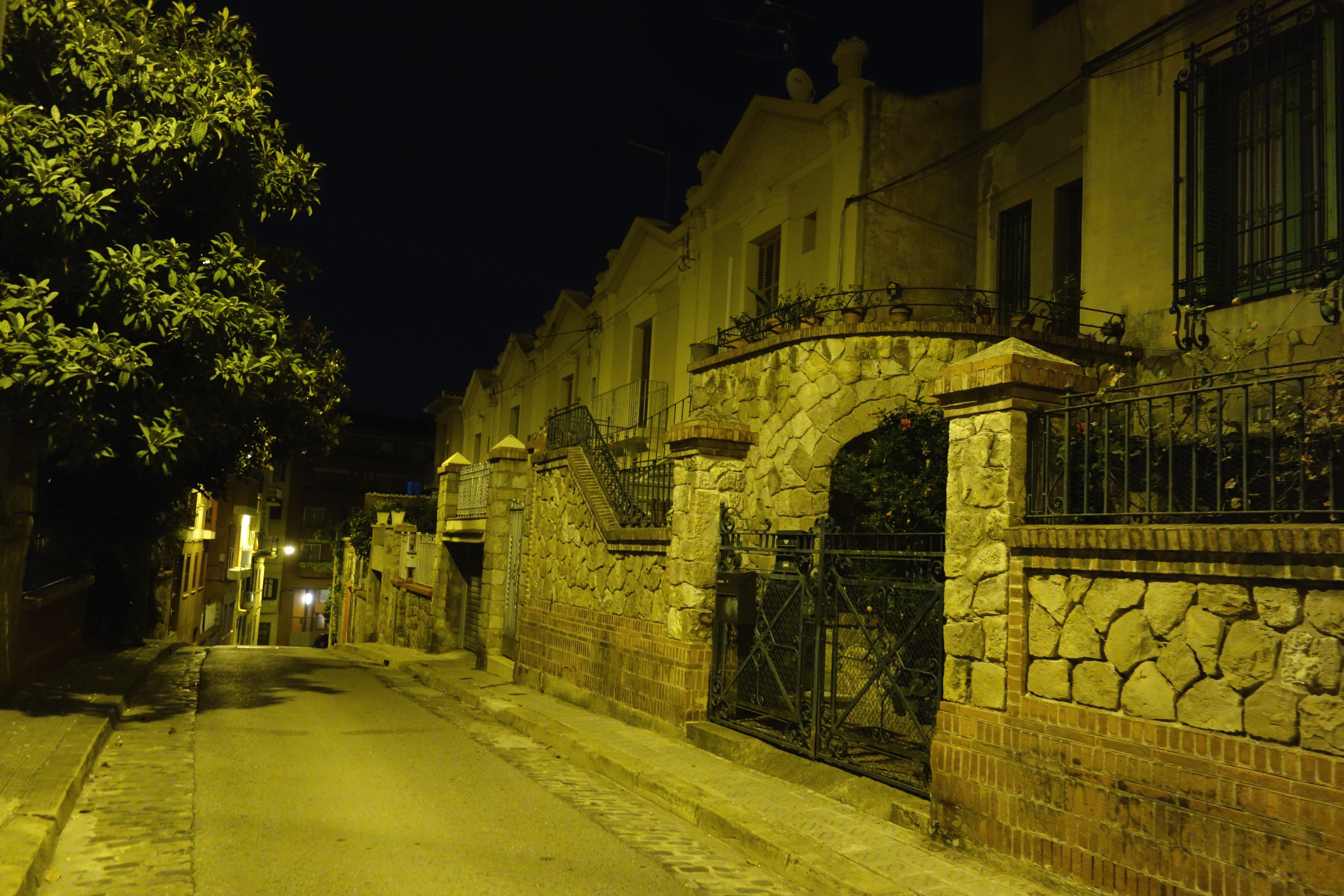 DSC07853