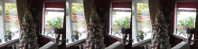 DSCF1422.jpg