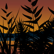 Modern-Grass