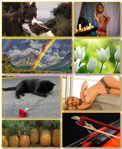 Best Mix Wallpapers 310