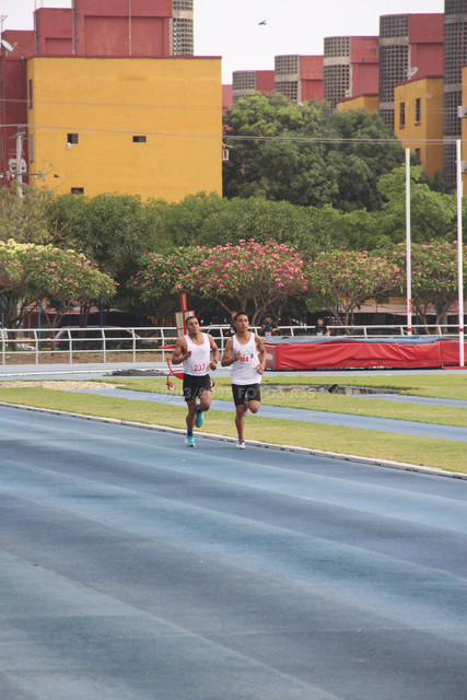 IMG-0212.jpg
