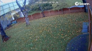 Tesla Model 3 A YE20VBT - 20251105-094226