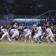 IMG-6016
