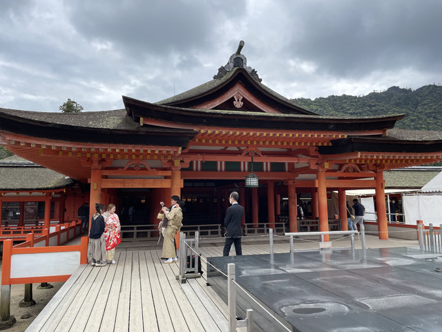 IMG-1566