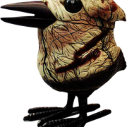 20