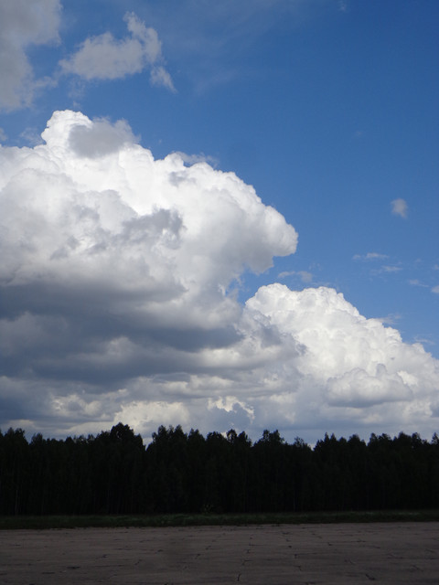 DSC00625.jpg