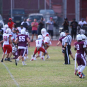 IMG-2224