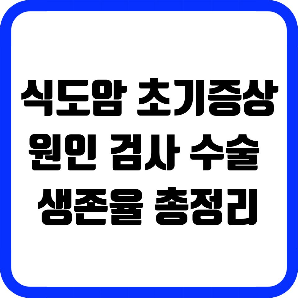 식도암 초기증상 원인 검사 수술 생존율 총정리