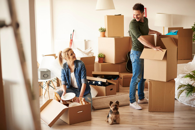 Tough cardboard storage and packing boxes for man and van removals