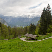 IMG-0201-2