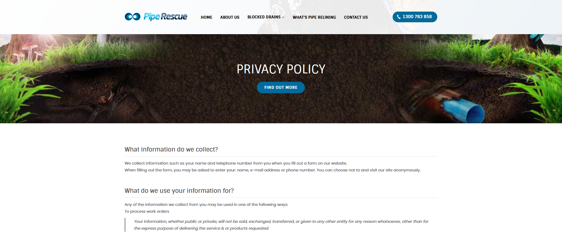 Stored screenshot of piperescue.com.au