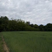 IMG 2362