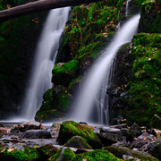 DSCF2650