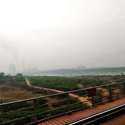 IMG20250116084622