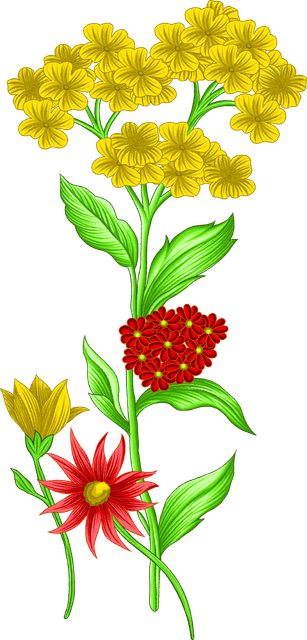9d3cb1c55f4c45374aae0940f0f034b8.png