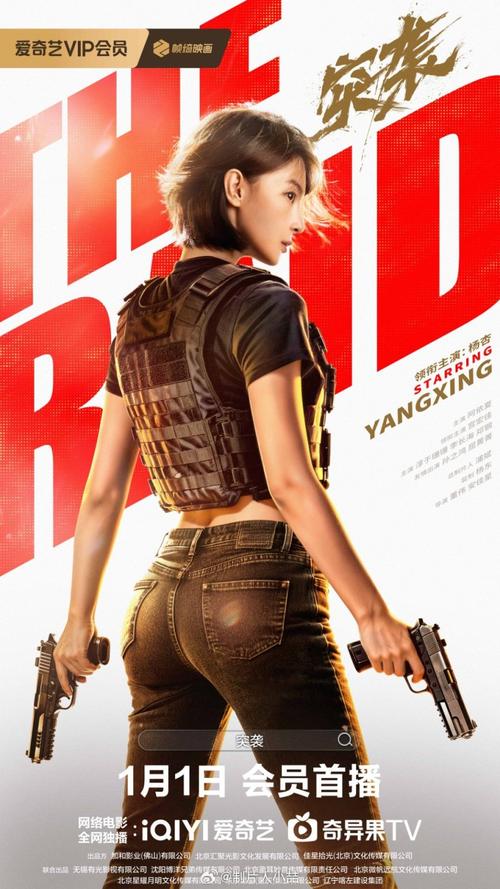 The Raid [C-Movie] (2026)