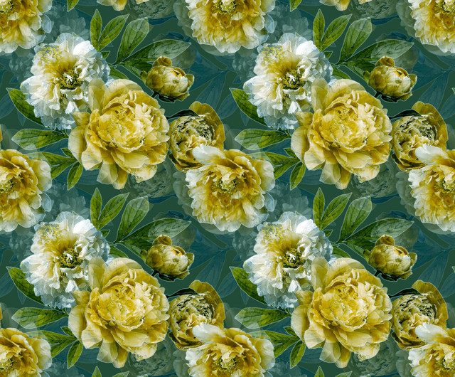 shutterstock 2481046273.jpg