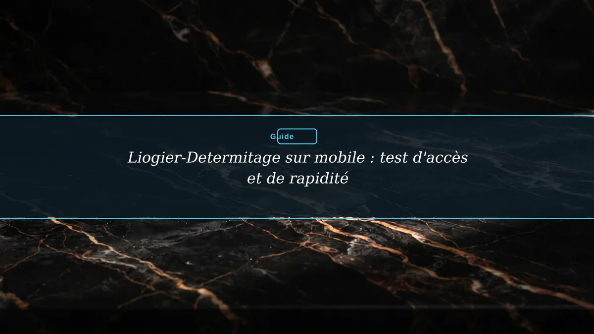 Liogier-Determitage sur mobile : test d'accès et de rapidité