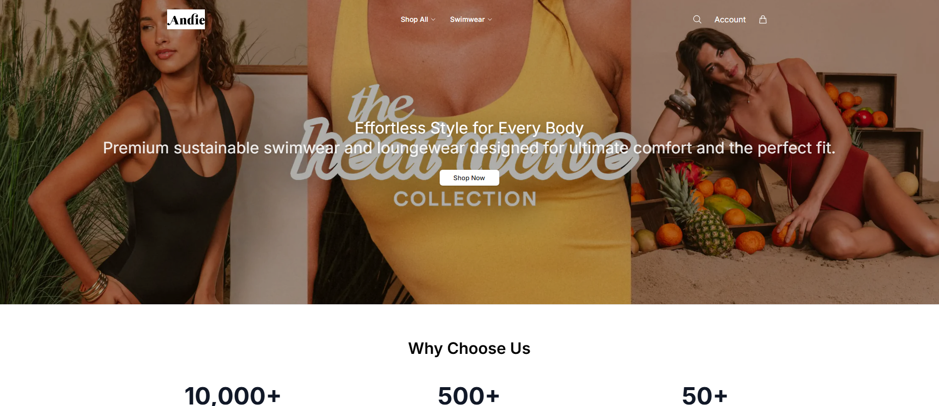 Stored capture of andieswimfashion.shop