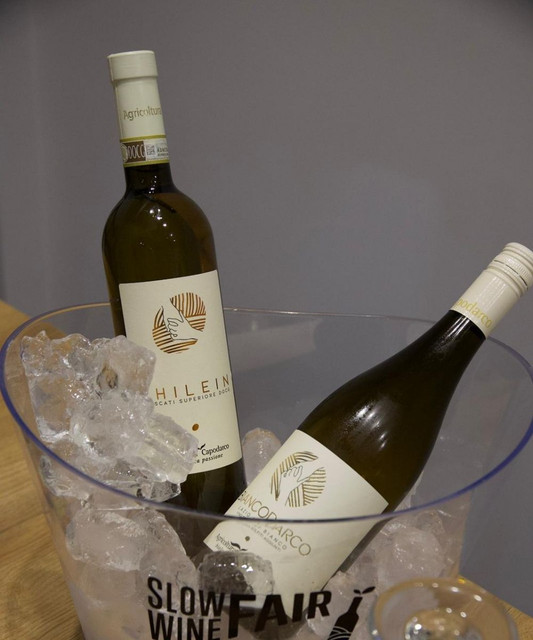 Bottiglie di vino dei Castelli — Capodarco, Bancodarco