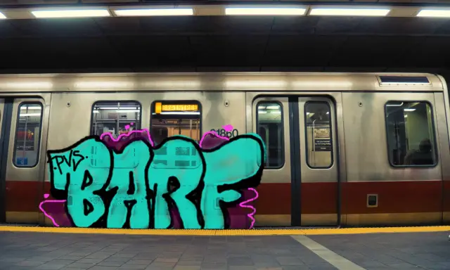 Graffiti artwork by cuntrash635