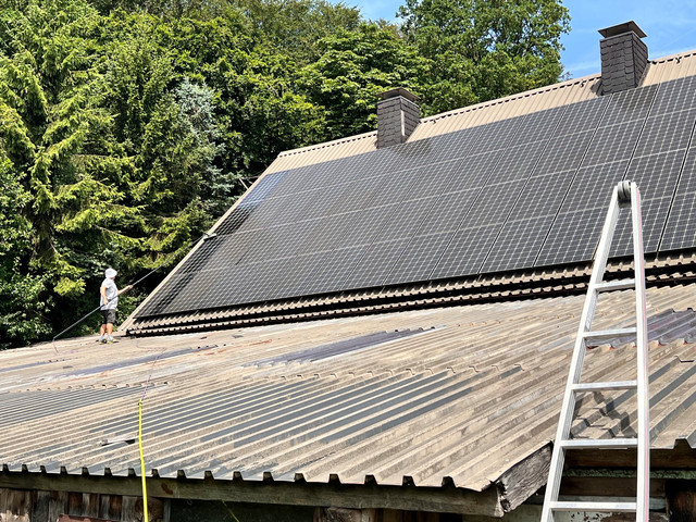 PV-Reinigung auf einem steilen Hofdach: große Solaranlage in starker Dachneigung wird mit der Teleskop-Bürste vom Dach aus gereinigt, direkt am Waldrand mit Nadelbäumen