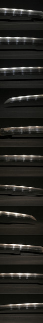 DSC6583.jpg